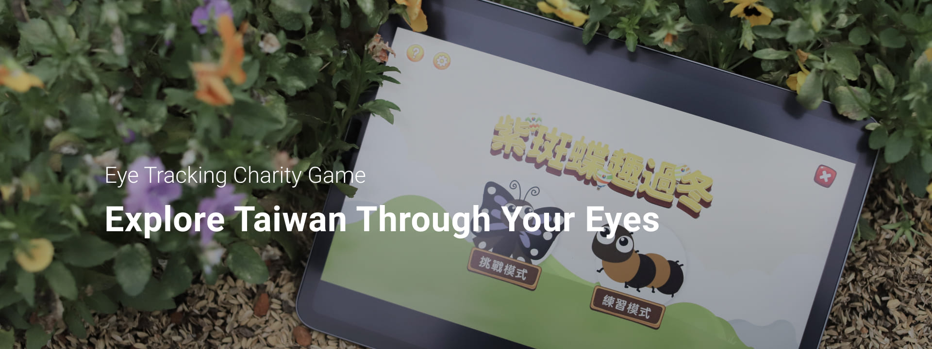 Purple Crow Butterflies Fun Games